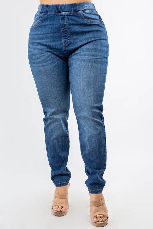 Premium Modal Fabric High Waist Elastic Band Skinny Jeans - Plus Size