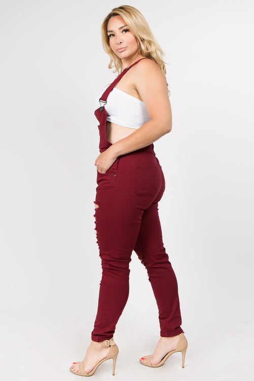 Distressed Front Skinny Overalls - Plus Size